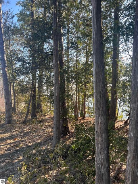 Tiny photo for 0 M-22, Suttons Bay, MI 49682 (MLS # 1943657)
