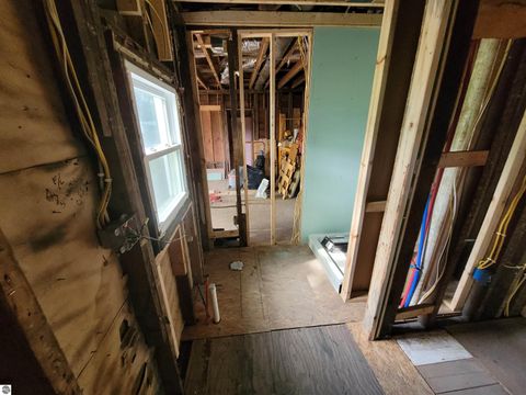 Tiny photo for 214 S Pine Street, St Louis, MI 48880 (MLS # 1942698)