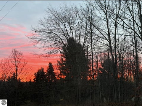 Tiny photo for 7788 Love Road, Benzonia, MI 49616 (MLS # 1948298)