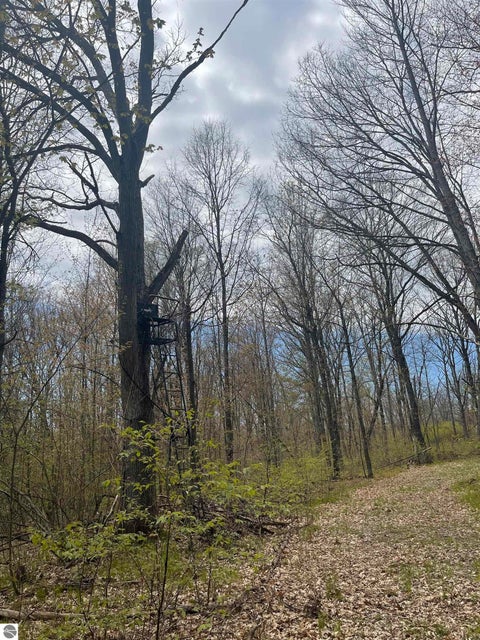 Tiny photo for 1860 S Jackson Avenue, Harrison, MI 48625 (MLS # 1945700)