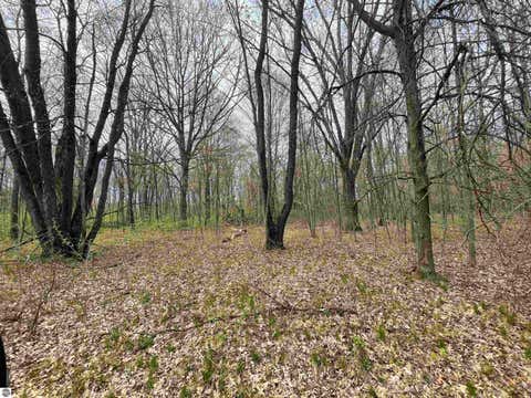 Tiny photo for 1860 S Jackson Avenue, Harrison, MI 48625 (MLS # 1945700)