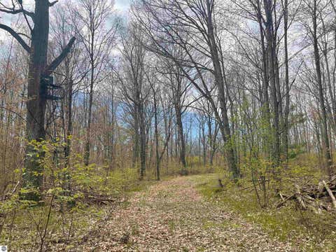 Tiny photo for 1860 S Jackson Avenue, Harrison, MI 48625 (MLS # 1945700)