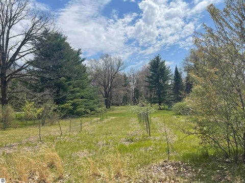 Tiny photo for 1860 S Jackson Avenue, Harrison, MI 48625 (MLS # 1945700)