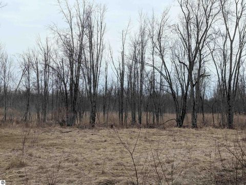 Tiny photo for 4438 Reynolds Road, Turner, MI 48765 (MLS # 1943305)