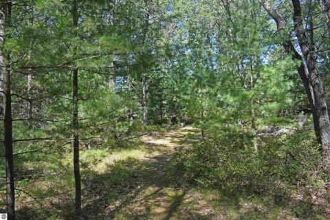 Tiny photo for 9214 Rhode Island Circle #94, Oscoda, MI 48750 (MLS # 1950600)