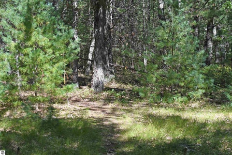 Tiny photo for 9214 Rhode Island Circle #94, Oscoda, MI 48750 (MLS # 1950600)