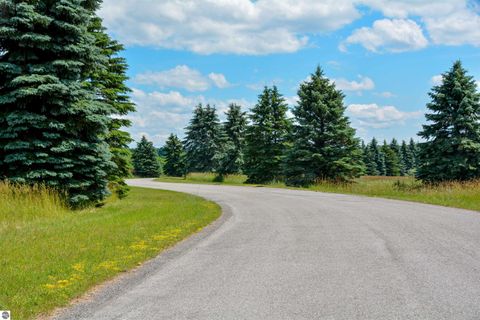 Tiny photo for 8271 E Boca Vista Trail, Traverse City, MI 49684 (MLS # 1943394)