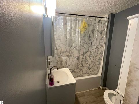 Tiny photo for 314 E Pine, Cadillac, MI 49601 (MLS # 1947340)