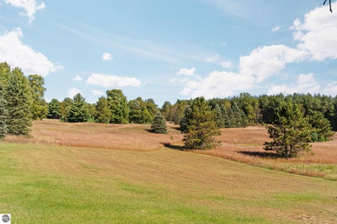 Tiny photo for 6600 SW Inman Road, Fife Lake, MI 49633 (MLS # 1951045)