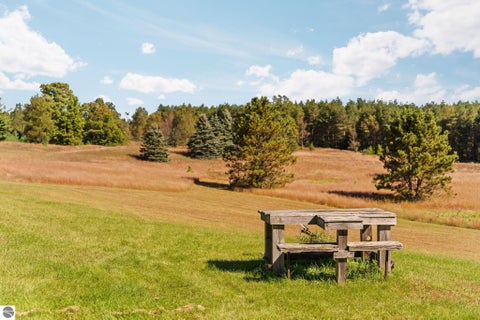 Tiny photo for 6600 SW Inman Road, Fife Lake, MI 49633 (MLS # 1951045)