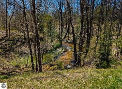 Tiny photo for 4411 N 11 Road, Mesick, MI 49688 (MLS # 1944640)