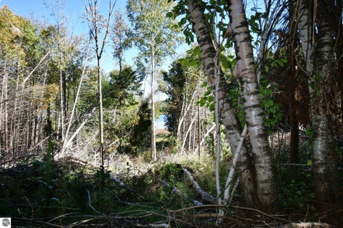 Tiny photo for 4012 Loeb Road, Charlevoix, MI 49720 (MLS # 1950953)