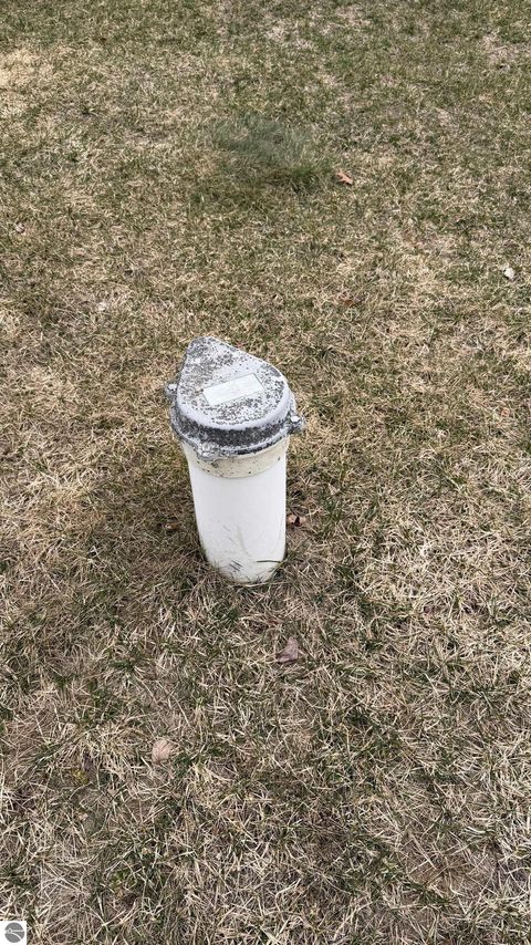 Tiny photo for 6455 N Geneva Road, Coleman, MI 48618 (MLS # 1943159)