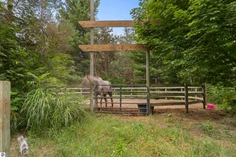Tiny photo for 20680 Cinder RD, Interlochen, MI 49643 (MLS # 1949692)