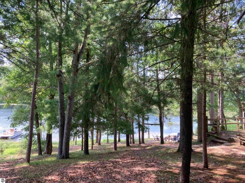 Tiny photo for 581 Abbott Road, Rose City, MI 48654 (MLS # 1948911)