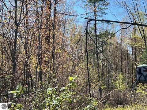 Tiny photo for 21403 Swan Creek Road, Merrill, MI 48637 (MLS # 1944358)