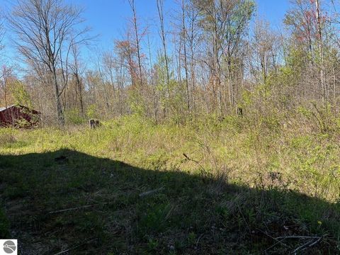 Tiny photo for 21403 Swan Creek Road, Merrill, MI 48637 (MLS # 1944358)