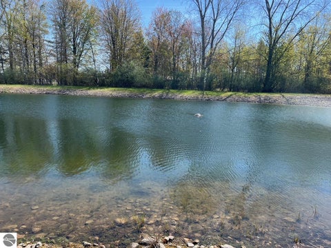 Tiny photo for 21403 Swan Creek Road, Merrill, MI 48637 (MLS # 1944358)