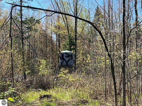 Tiny photo for 21403 Swan Creek Road, Merrill, MI 48637 (MLS # 1944358)