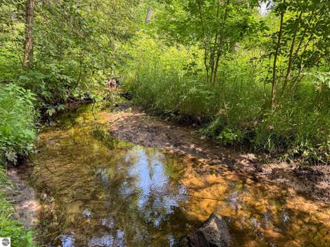 Tiny photo for 9230 Monroe Road, Lake, MI 48632 (MLS # 1948105)