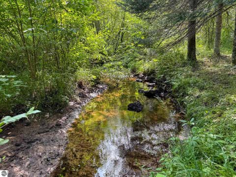 Tiny photo for 9230 Monroe Road, Lake, MI 48632 (MLS # 1948105)