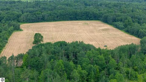 Tiny photo for 5251 M-55, Hale, MI 48739 (MLS # 1947526)
