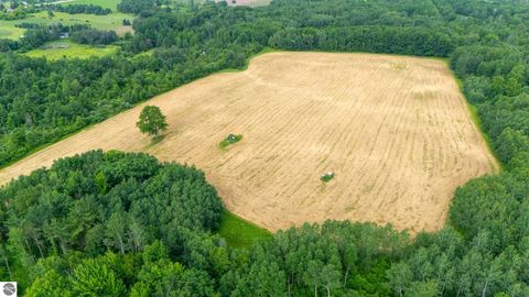 Tiny photo for 5251 M-55, Hale, MI 48739 (MLS # 1947526)