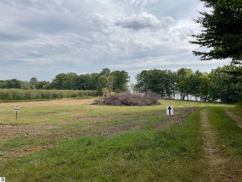 Tiny photo for S Lee Point Road, Suttons Bay, MI 49682 (MLS # 1938832)