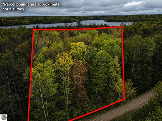 ELIZABETH LN, IRON RIVER, MI 49935 - Image cc7b2e402067a15fdc97b9b3a04d544d/711945459