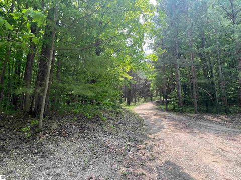 Tiny photo for 135 Montgomery Road, South Boardman, MI 49680 (MLS # 1942335)