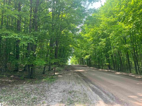 Tiny photo for 135 Montgomery Road, South Boardman, MI 49680 (MLS # 1942335)