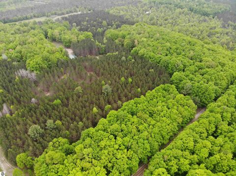 Tiny photo for 135 Montgomery Road, South Boardman, MI 49680 (MLS # 1942335)