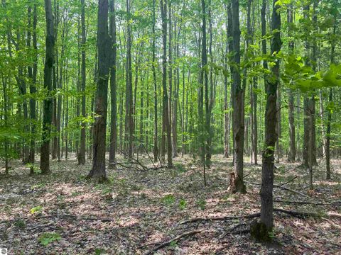 Tiny photo for 135 Montgomery Road, South Boardman, MI 49680 (MLS # 1942335)