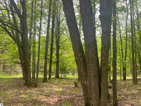 Tiny photo for 135 Montgomery Road, South Boardman, MI 49680 (MLS # 1942335)