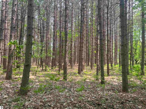 Tiny photo for 135 Montgomery Road, South Boardman, MI 49680 (MLS # 1942335)