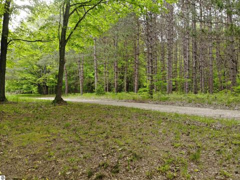 Tiny photo for 135 Montgomery Road, South Boardman, MI 49680 (MLS # 1942335)