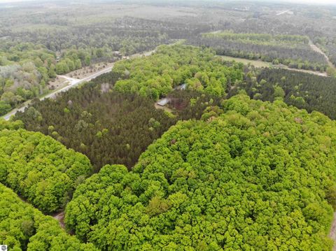 Tiny photo for 135 Montgomery Road, South Boardman, MI 49680 (MLS # 1942335)