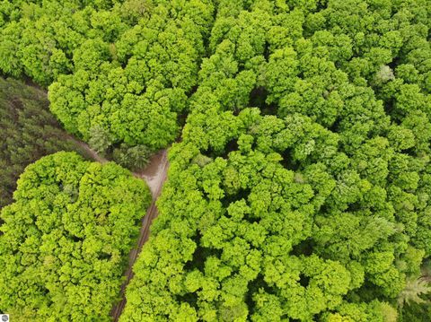 Tiny photo for 135 Montgomery Road, South Boardman, MI 49680 (MLS # 1942335)