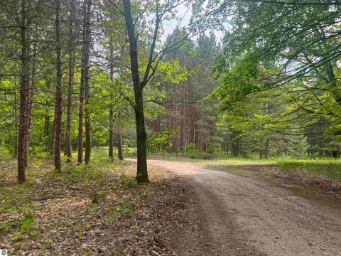 Tiny photo for 135 Montgomery Road, South Boardman, MI 49680 (MLS # 1942335)