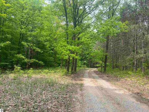 Tiny photo for 135 Montgomery Road, South Boardman, MI 49680 (MLS # 1942335)