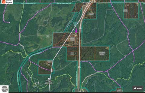 Tiny photo for 11486 Old US Hwy 131, Fife Lake, MI 49633 (MLS # 1946436)