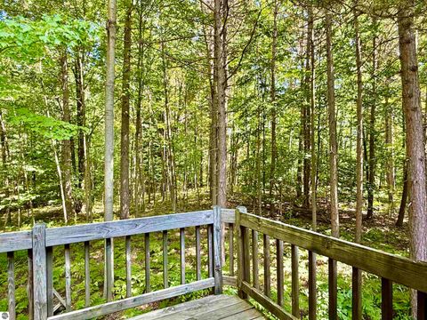 Tiny photo for 16121 130th Avenue, Leroy, MI 49655 (MLS # 1942930)