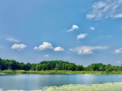 Tiny photo for 16121 130th Avenue, Leroy, MI 49655 (MLS # 1942930)