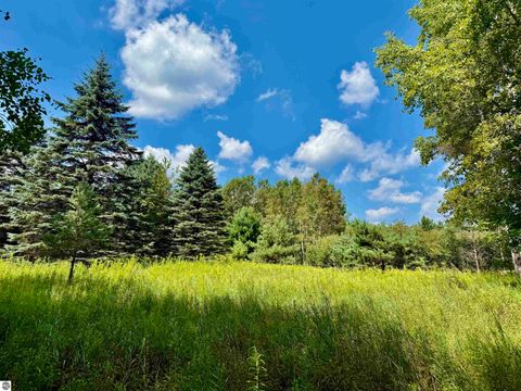 Tiny photo for 16121 130th Avenue, Leroy, MI 49655 (MLS # 1942930)