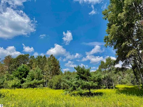 Tiny photo for 16121 130th Avenue, Leroy, MI 49655 (MLS # 1942930)