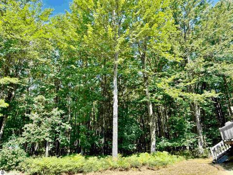 Tiny photo for 16121 130th Avenue, Leroy, MI 49655 (MLS # 1942930)