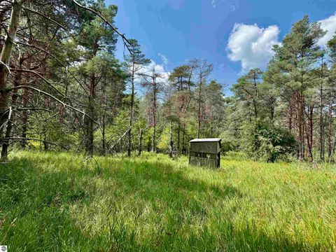 Tiny photo for 16121 130th Avenue, Leroy, MI 49655 (MLS # 1942930)