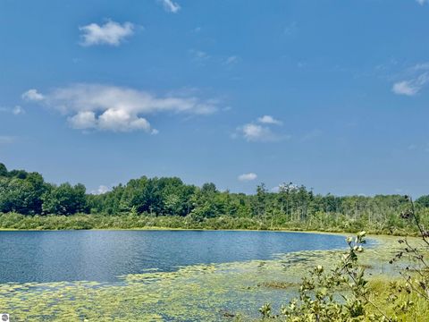 Tiny photo for 16121 130th Avenue, Leroy, MI 49655 (MLS # 1942930)