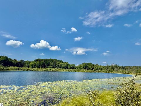 Tiny photo for 16121 130th Avenue, Leroy, MI 49655 (MLS # 1942930)