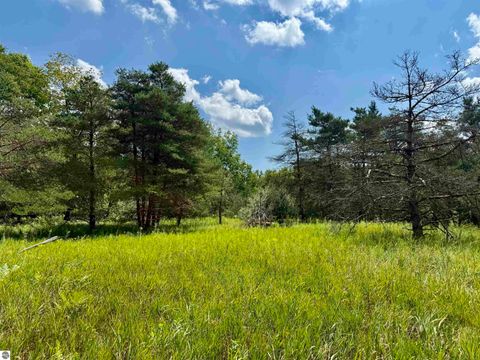 Tiny photo for 16121 130th Avenue, Leroy, MI 49655 (MLS # 1942930)